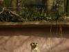 2011040701152074_k-Zoo 160.jpg